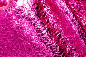 Corkys Footwear Cool Off Womens Flip Flop