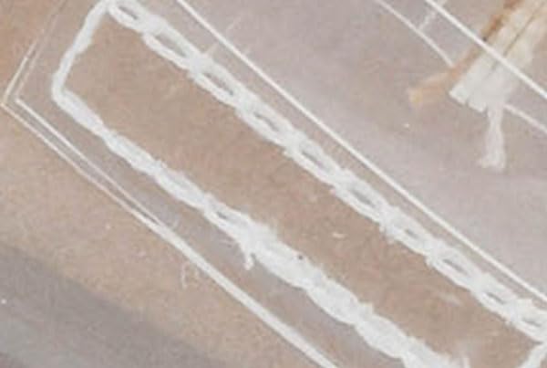 Corkys Footwear Womens 2.5-inch Manifest Wedge - Featuring Two Straps with Adjustable Buckles, Corkys Signature EVA Insoles for All-Day Comfort, and a Wrapped Outsole