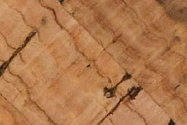 Corkys Footwear Womens 2.5-inch Manifest Wedge - Featuring Two Straps with Adjustable Buckles, Corkys Signature EVA Insoles for All-Day Comfort, and a Wrapped Outsole